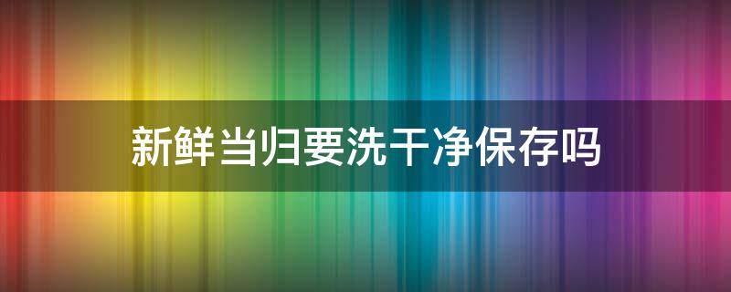 新鲜当归要洗干净保存吗 新鲜当归怎么处理才能保持长久