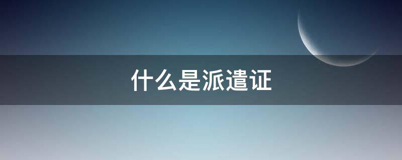 什么是派遣证 什么是派遣证明