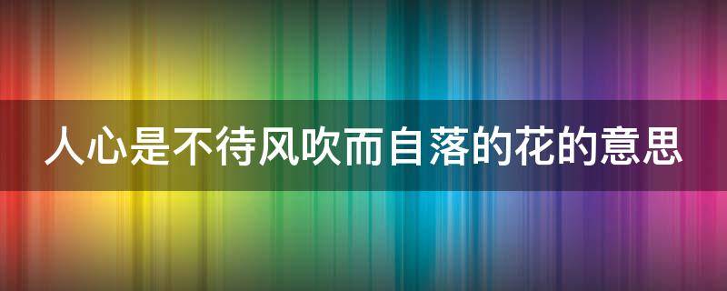 人心是不待风吹而自落的花的意思（人心是不待风吹而自落得花）