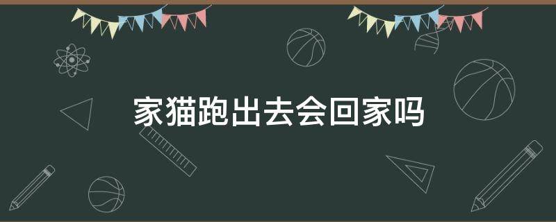 家猫跑出去会回家吗（小猫跑出家门,还会回家吗?）