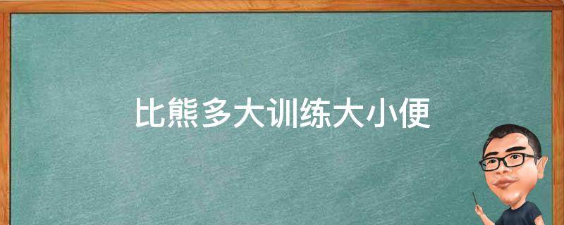 比熊多大训练大小便（比熊犬怎么训练大小便）