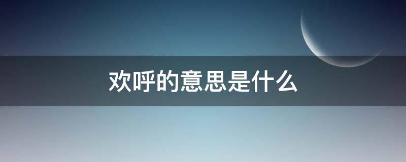 欢呼的意思是什么（欢呼的意思是什么意思）