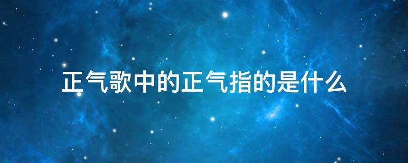 正气歌中的正气指的是什么（正气歌中的正气是什么意思）