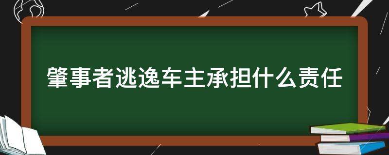 肇事者逃逸车主承担什么责任（肇事司机逃逸车主负责任吗）