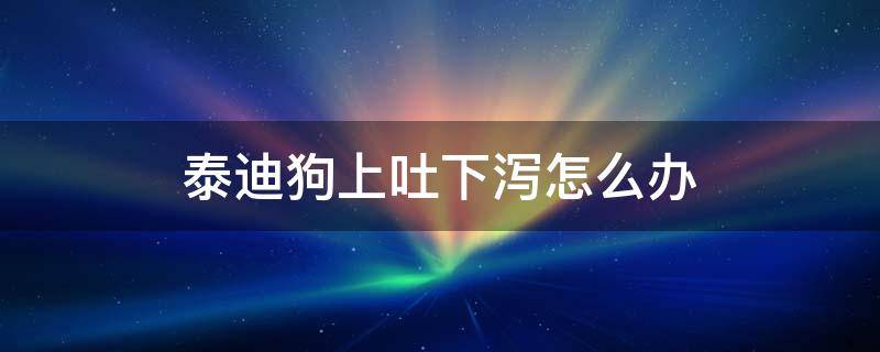 泰迪狗上吐下泻怎么办（泰迪犬上吐下泻）