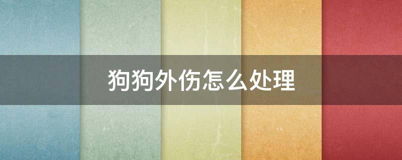 狗狗外伤怎么处理 狗狗外伤怎么处理伤口