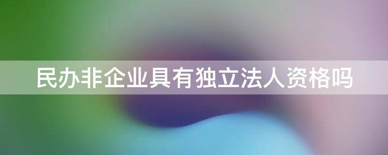 民办非企业具有独立法人资格吗（民办非企业具有独立法人资格吗）