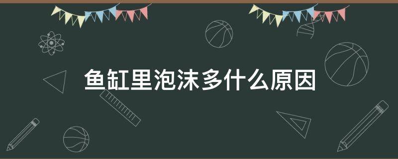 鱼缸里泡沫多什么原因（鱼缸里的水泡沫多）