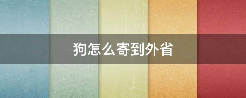 狗怎么寄到外省（狗狗怎么快递到外省）