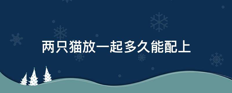 两只猫放一起多久能配上（两只猫什么时候能放在一起养）