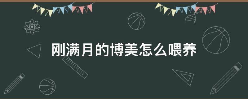 刚满月的博美怎么喂养 刚满月的博美小狗狗怎么养