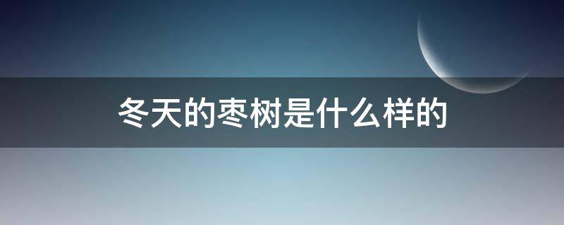 冬天的枣树是什么样的（冬天的枣树是什么样的句子）