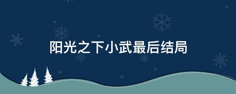 阳光之下小武最后结局 阳光之下小武最后跟谁在一起