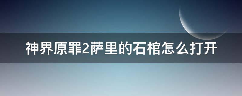 神界原罪2萨里的石棺怎么打开 神界原罪2巨大的石棺怎么打开