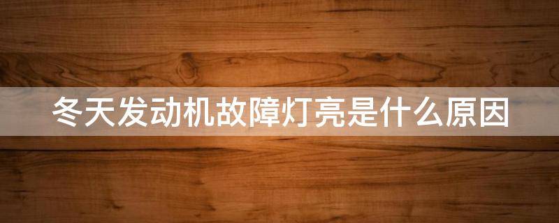 冬天发动机故障灯亮是什么原因（新车冬天发动机故障灯亮是什么原因）