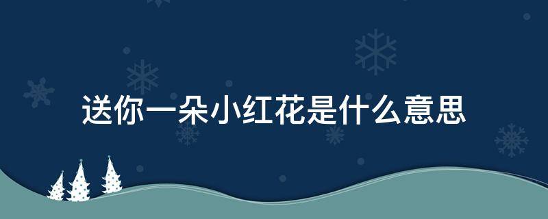 送你一朵小红花是什么意思 送你一朵小红花歌词