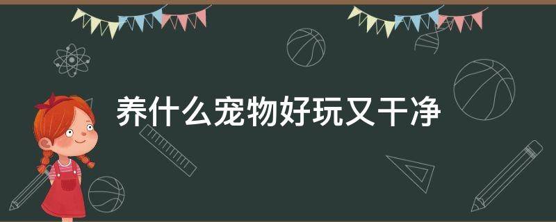 养什么宠物好玩又干净 养什么宠物好玩又干净又省钱不臭