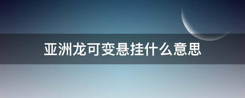 亚洲龙可变悬挂什么意思 亚洲龙是什么悬挂系统