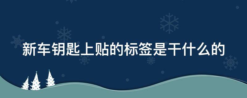 新车钥匙上贴的标签是干什么的（新车只给一把钥匙的猫腻）