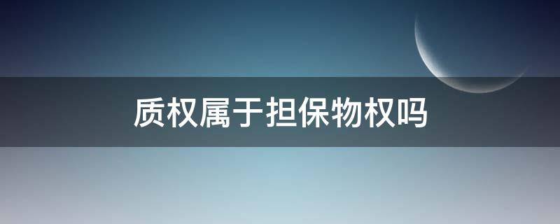 质权属于担保物权吗（质权是不是担保物权）