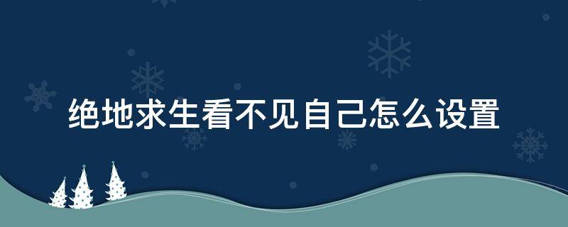 绝地求生看不见自己怎么设置 绝地求生怎么调能看见人