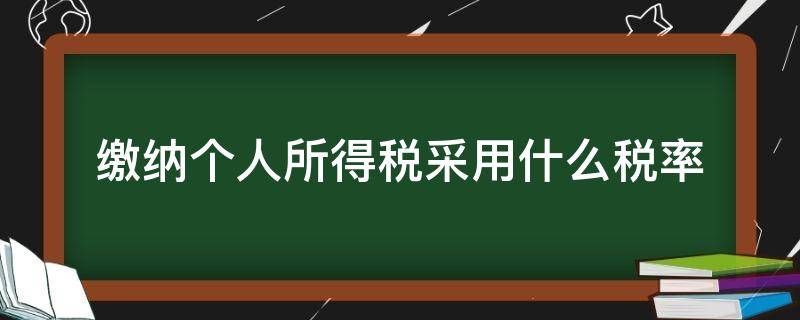 缴纳个人所得税采用什么税率 缴纳个人所得税适用什么税率