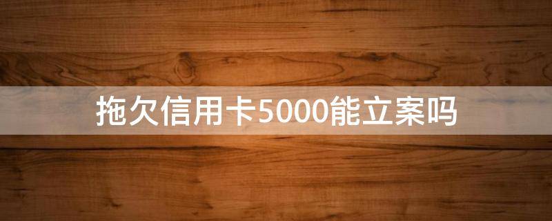 拖欠信用卡5000能立案吗（拖欠信用卡5000元是否能立案）