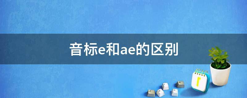 音标e和ae的区别（音标e和ae的区别单词）