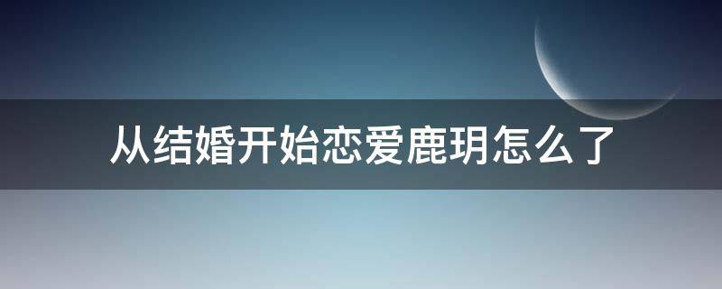 从结婚开始恋爱鹿玥怎么了 从结婚到恋爱鹿玥到底发生什么了