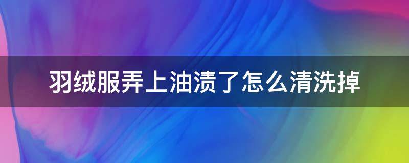 羽绒服弄上油渍了怎么清洗掉 羽绒服弄上油渍了怎么清洗掉免费视频