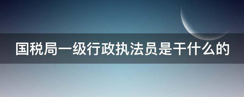 国税局一级行政执法员是干什么的 国税局一级行政执法员是干什么的工作