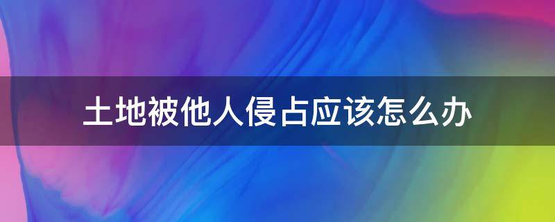 土地被他人侵占应该怎么办（如果别人侵占了自己的土地该怎么办）