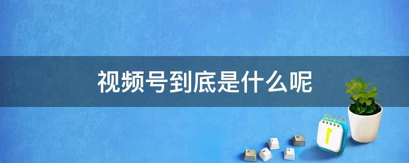 视频号到底是什么呢 视频号到底是什么?