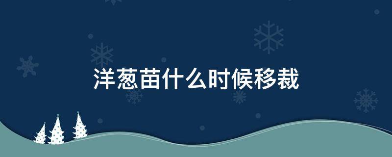 洋葱苗什么时候移裁 洋葱的移栽方法