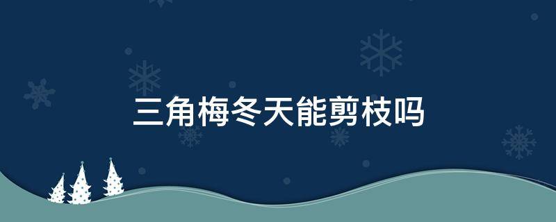 三角梅冬天能剪枝吗 三角梅冬天可以把枝条剪掉吗