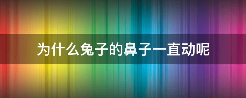 为什么兔子的鼻子一直动呢 兔子的鼻子为什么一直动来动去