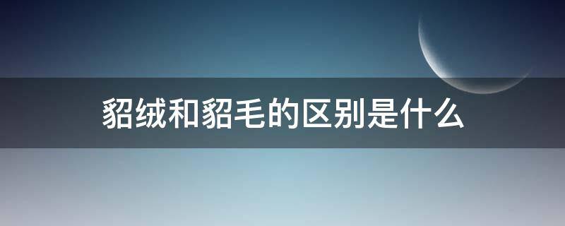 貂绒和貂毛的区别是什么（貂绒和貂毛有什么区别）