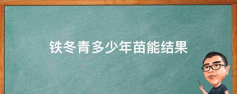 铁冬青多少年苗能结果（铁冬青种子怎么当年育出苗来）