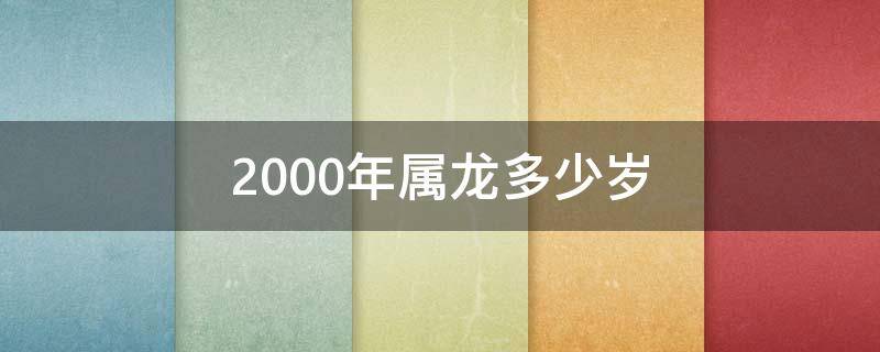 2000年属龙多少岁 2000年属龙的今年什么多少岁