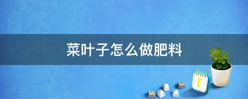 菜叶子怎么做肥料 叶菜用什么肥料