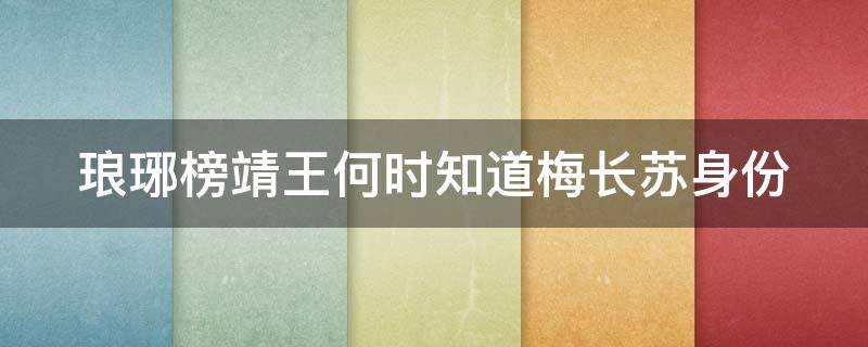 琅琊榜靖王何时知道梅长苏身份（琅琊榜靖王与梅长苏何时相认）