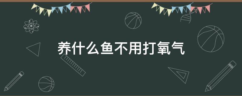 养什么鱼不用打氧气（养什么鱼不用打氧气不用加热棒）