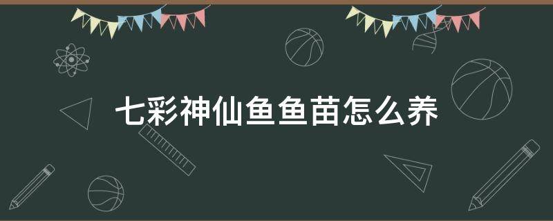 七彩神仙鱼鱼苗怎么养 七彩神仙鱼小苗怎么养