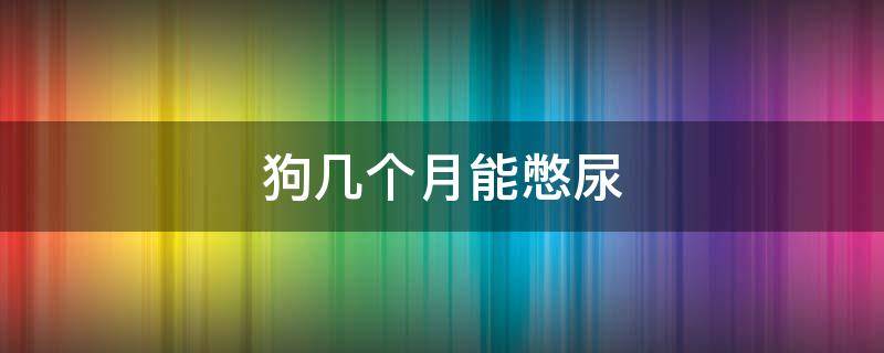 狗几个月能憋尿 狗几个月可以憋住尿