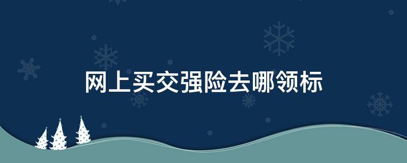 网上买交强险去哪领标（买了交强险在哪里领标）