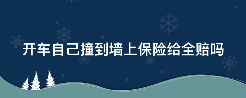 开车自己撞到墙上保险给全赔吗（开车自己撞墙上怎么报保险）