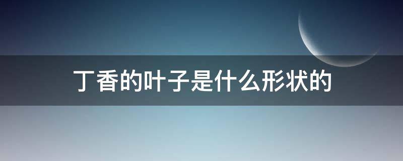 丁香的叶子是什么形状的（丁香树的叶子是什么形状的）