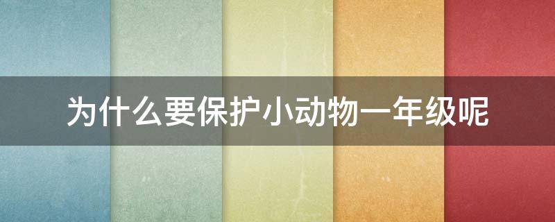 为什么要保护小动物一年级呢（作为一名小学生我们可以保护动物做什么呢）