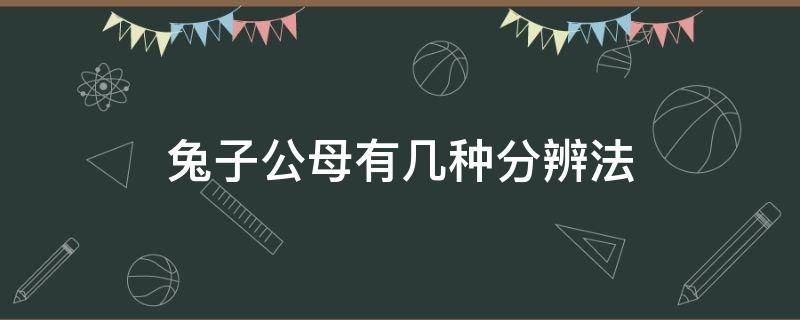 兔子公母有几种分辨法（兔子公母有几种分辨法视频）