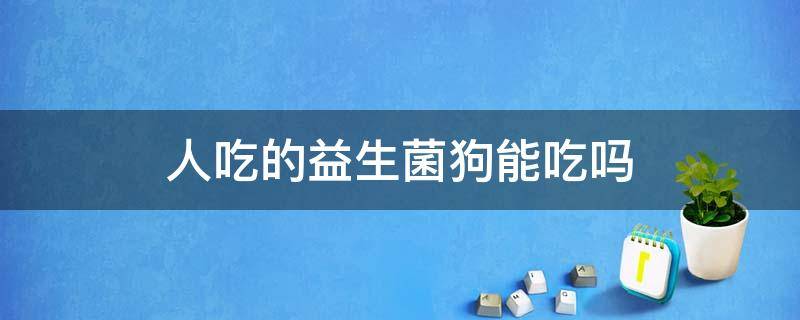 人吃的益生菌狗能吃吗 狗可以吃人吃的益生菌吗